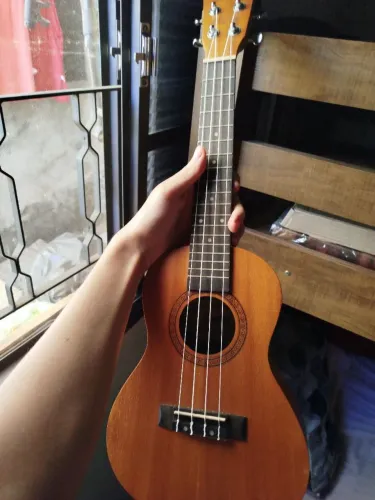 Ukulele Shelby concert