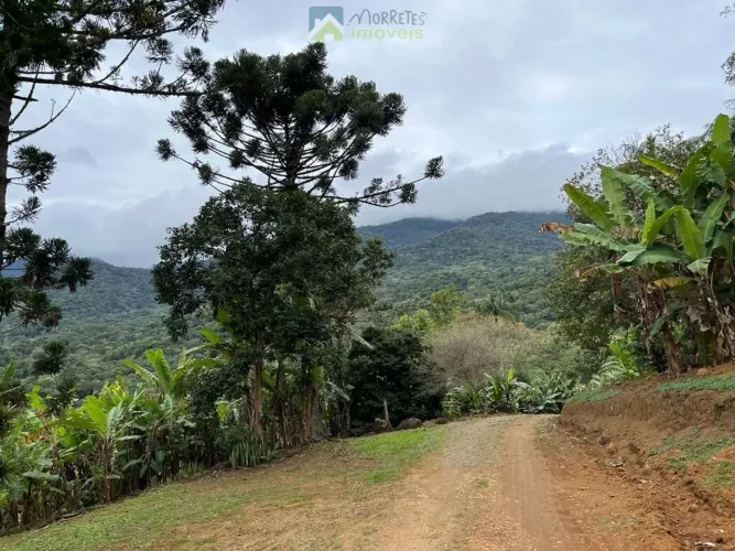 Chácara 36.600 m² em Morretes com 3 tanques de Peixes 1500 pés de bananas e rio passando d