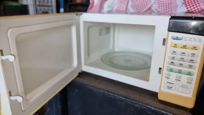 Microondas Electrolux 21 litros 127 volts usado funcionando 100%