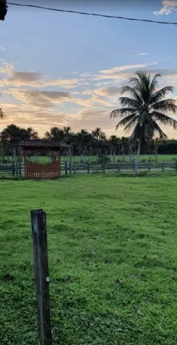 Fazenda na PA-112 Rodovia Montenegro Bragança-Pará