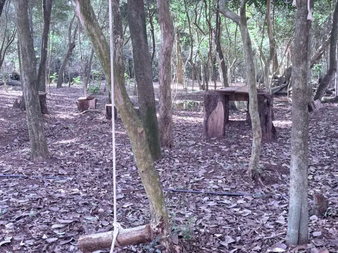 Chácara interior de marechal Cândido Rondon