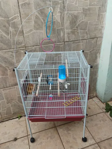 Gaiola e Caixa 
