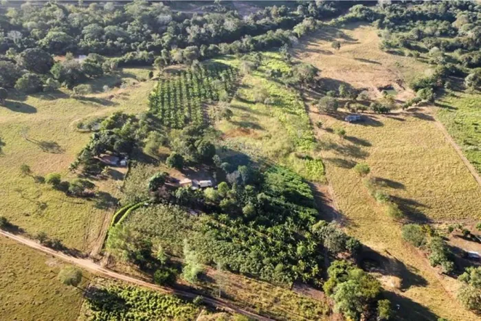Seu refúgio no campo está aqui!  Sítio 16 hectares  pronto para produzir