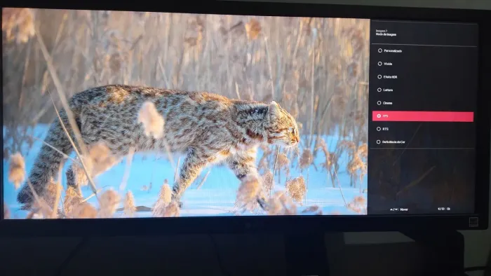 Monitor LG Ultrawide 26" FHD