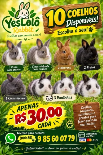 Coelhos