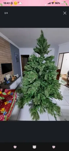 Árvore de natal