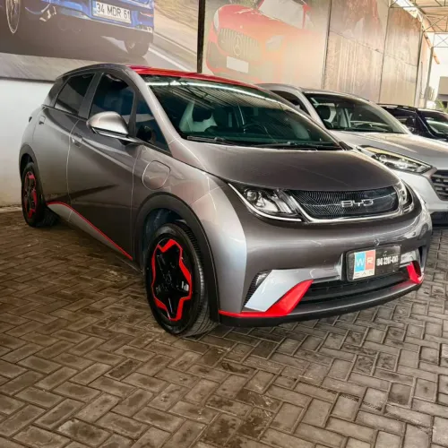 BYD Dolphin Plus (Elétrico) 2024