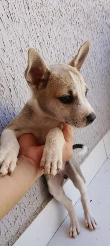 Para doação 