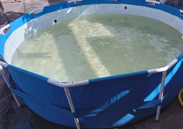 Vendo está Piscina de 4.000 litros