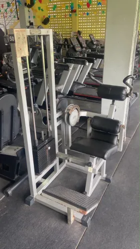 Máquina de abdômen profissional Technogym 