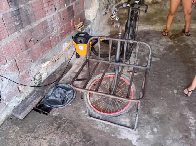 Bicicleta cargueira