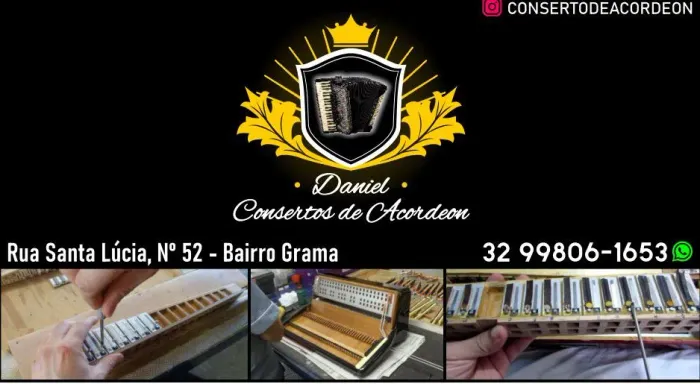 Concerto de acordeon/ Sanfona 