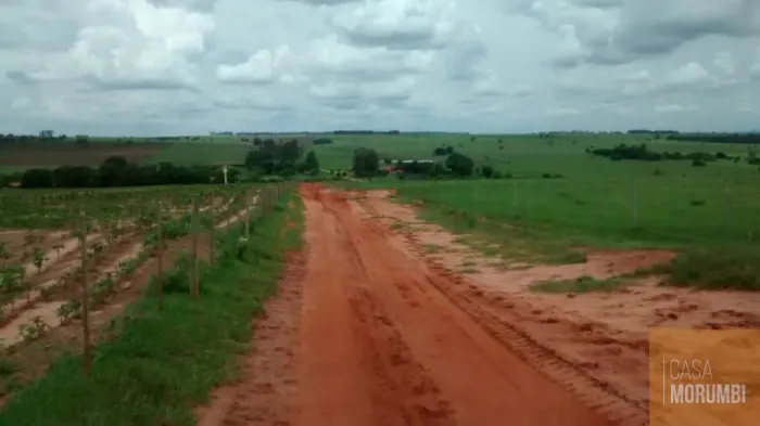 Imperdível oportunidade de investimento: Fazenda de 610 alqueires à venda em SP