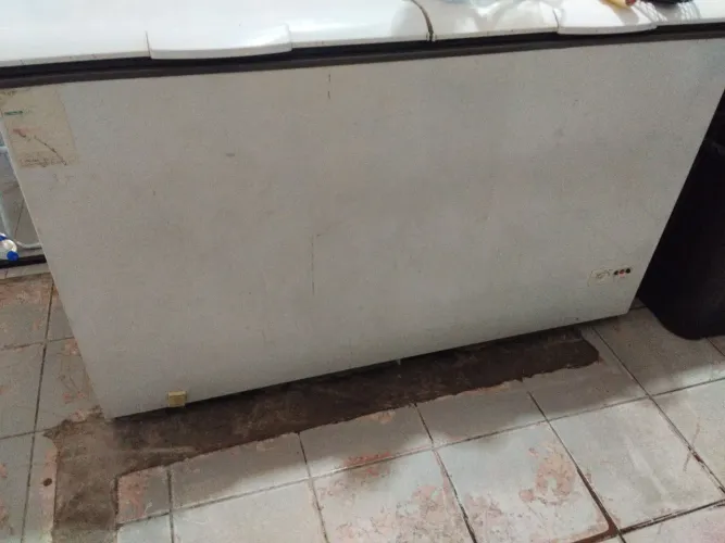 Freezer horizontal