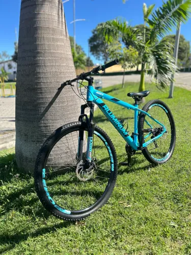 Bicicleta Aro 29