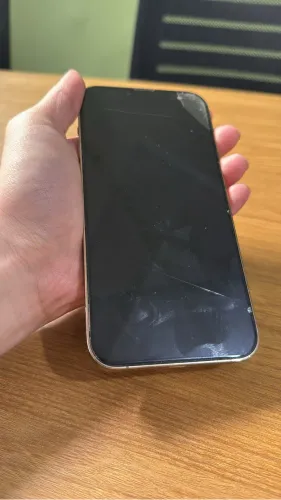 IPHONE 13 PRO MAX 256GB