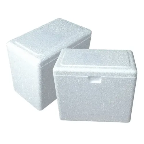 Kit 02 Caixas de Isopor Térmica 3 Litros Pequena Resistente