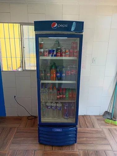 Freezer vertical
