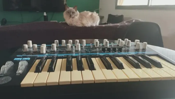Novation Bass Station 2