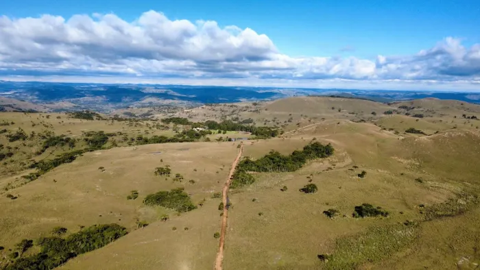 Vende-se fazenda com 451 hectares na Coxilha Rica (Morrinhos) - Lages