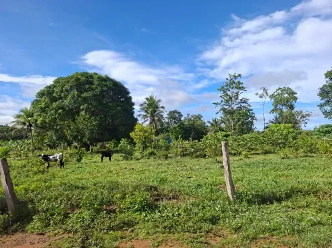 Terrenos a venda na região de chacaras em Ariquemes, RO 257 km 14