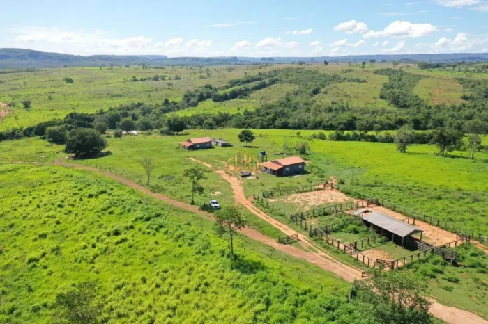 EXCELENTE OPORTUNIDADE DE FAZENDA À VENDA REGIÃO DE TESOURO - MT ??