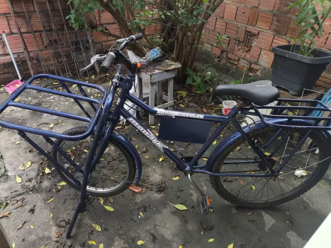 Vendo bicicleta carga