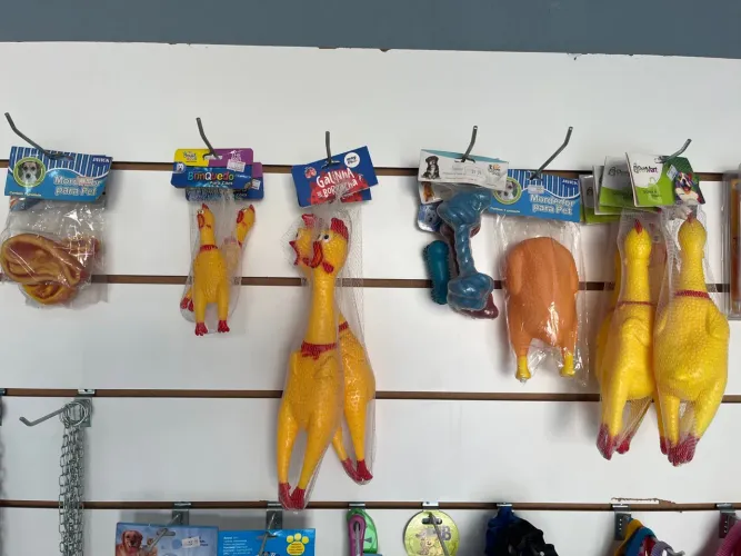 Brinquedos para pet