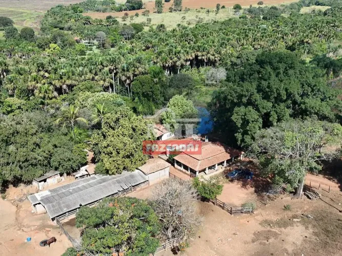 Chácara 1 Alqueire (4,84 hectares) Piracanjuba - GO