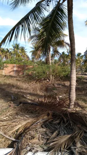 Terreno localizado no Trairi