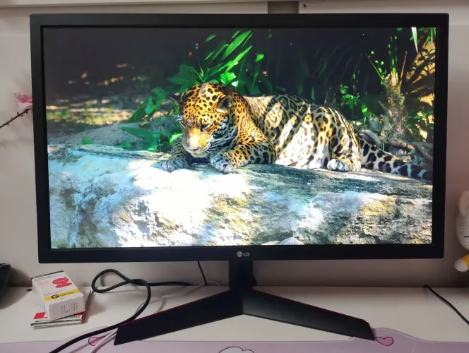 Monitor Gamer LG 24" LED Full HD 144Hz 1ms MBR 24GL600F-B