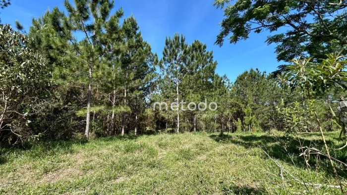 Terreno à venda, 6346 m² por R$ 480.000,00 - Parque Agrinco - Guararema/SP