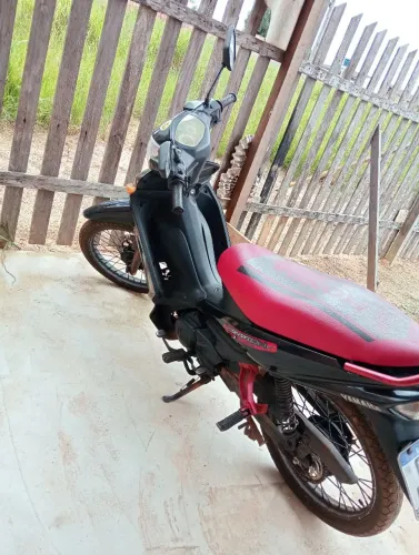 Cleiton 115 resvisão em dias