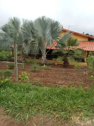 SITIO COM 5.000M2 LAGOA FUNDO