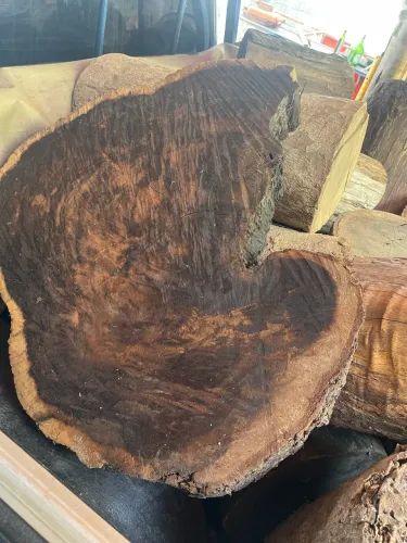 Bolacha de madeira brauna 