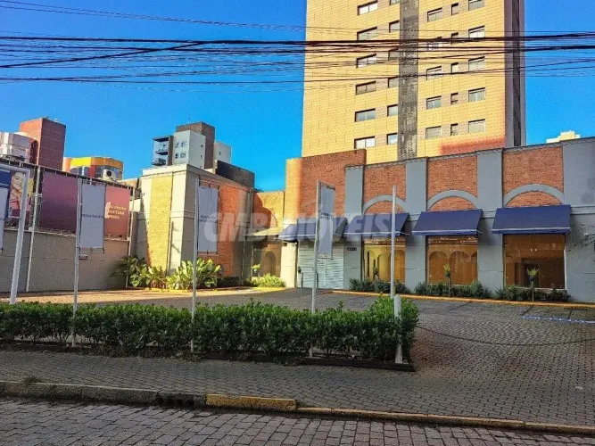 salão - Cambuí - Campinas
