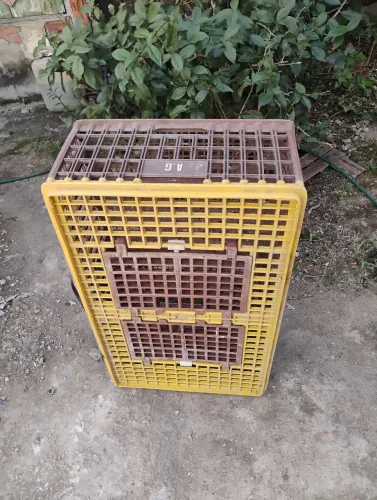 Grade para transportar frango