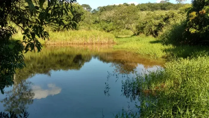 Terreno Cordisburgo