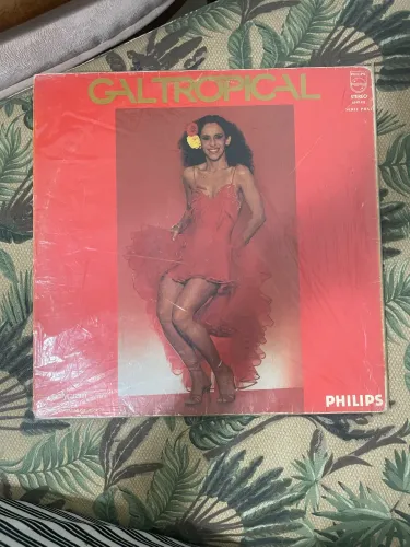 Gal Tropical, da Gal Costa, de 1979.