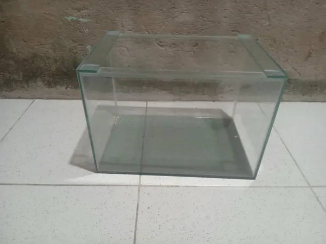 Aquário 
