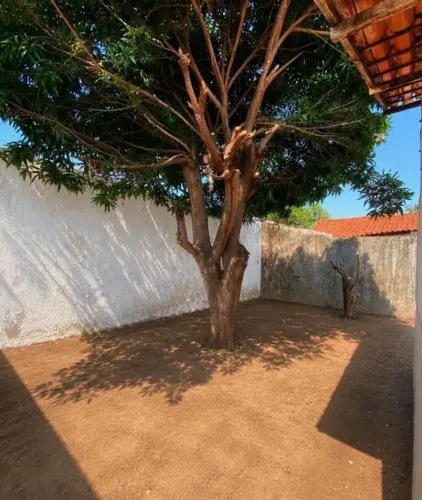 VENDO IMÓVEL NA MARAMBAIA £
