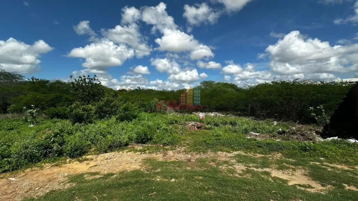 Terrenos à Venda no Costa e Silva | 1.014m² cada | Mossoró-RN