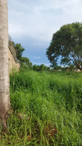 Lote - Setor Pontal Sul