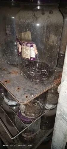 Vidros de palmito e outros.