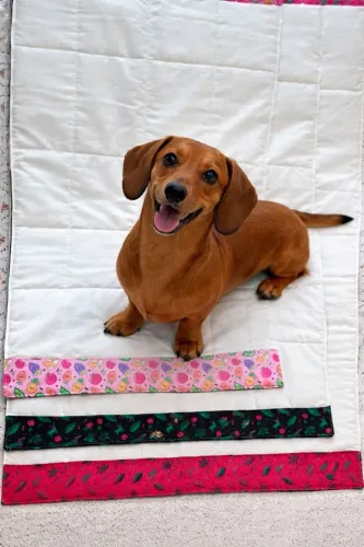 Tapetes higiênicos ecológicos