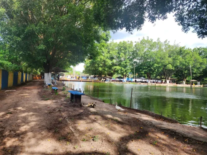 Chácaras/Imóveis Rurais RanchoSítio em Ribeirão Preto