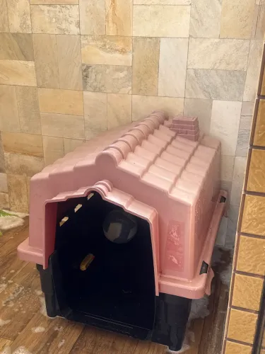 Casa para cães