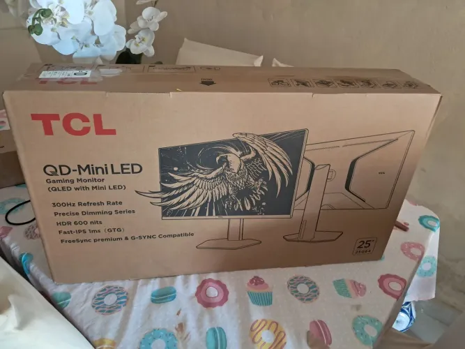 Monitor TCL25pol 300 hz