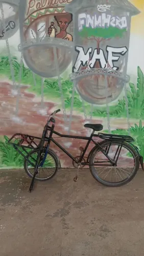 Bicicleta cargueira