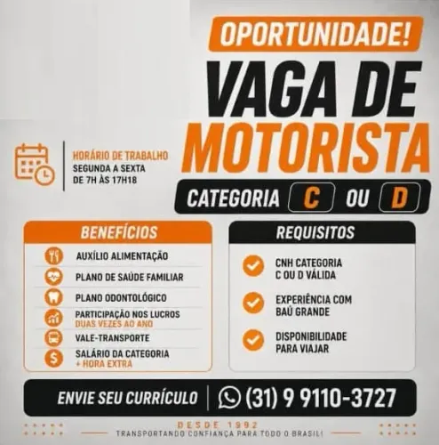 Motorista para caminhão de mudança